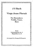 Virga Jesse Floruit